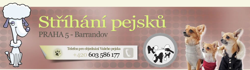 Sthn ps Barrandov
